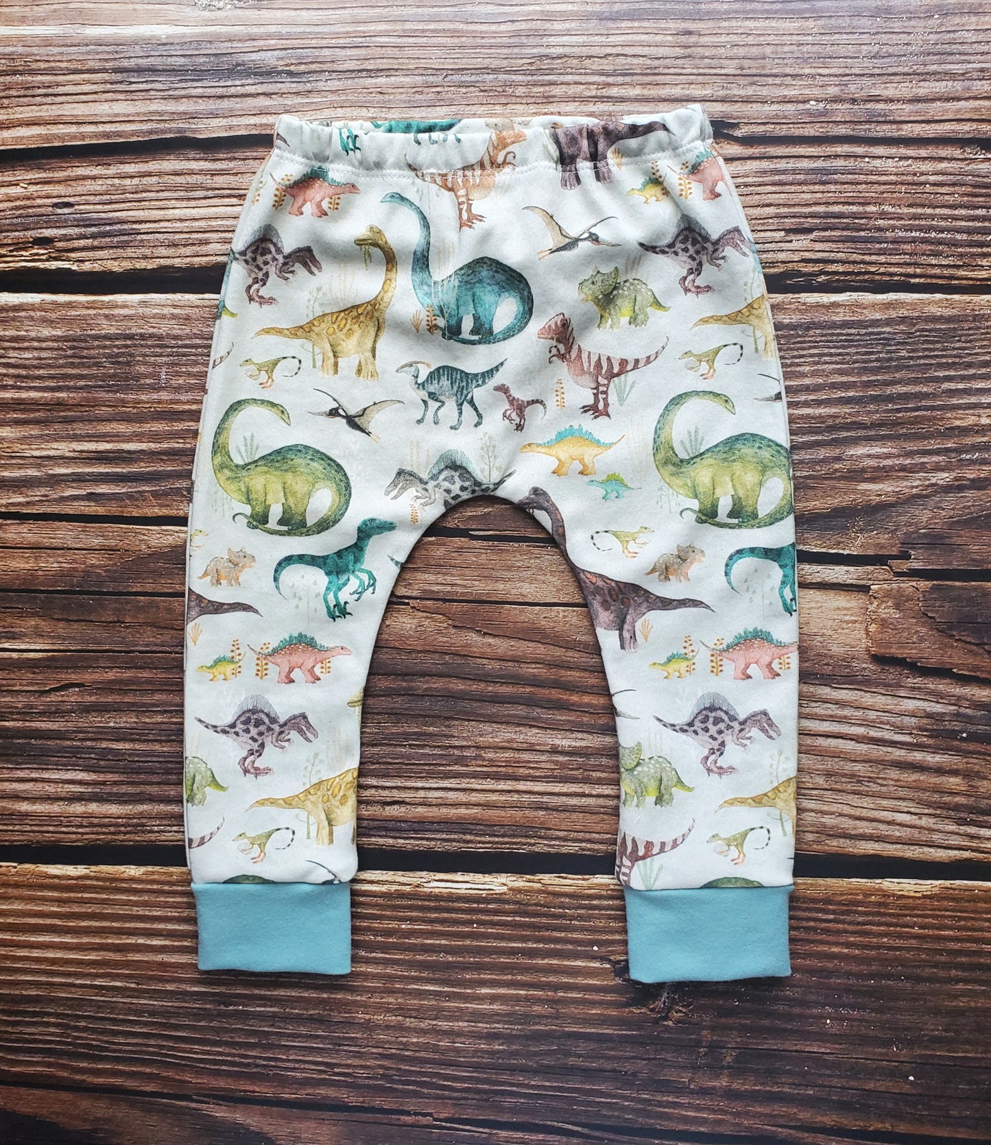 Dinosaur Leggings