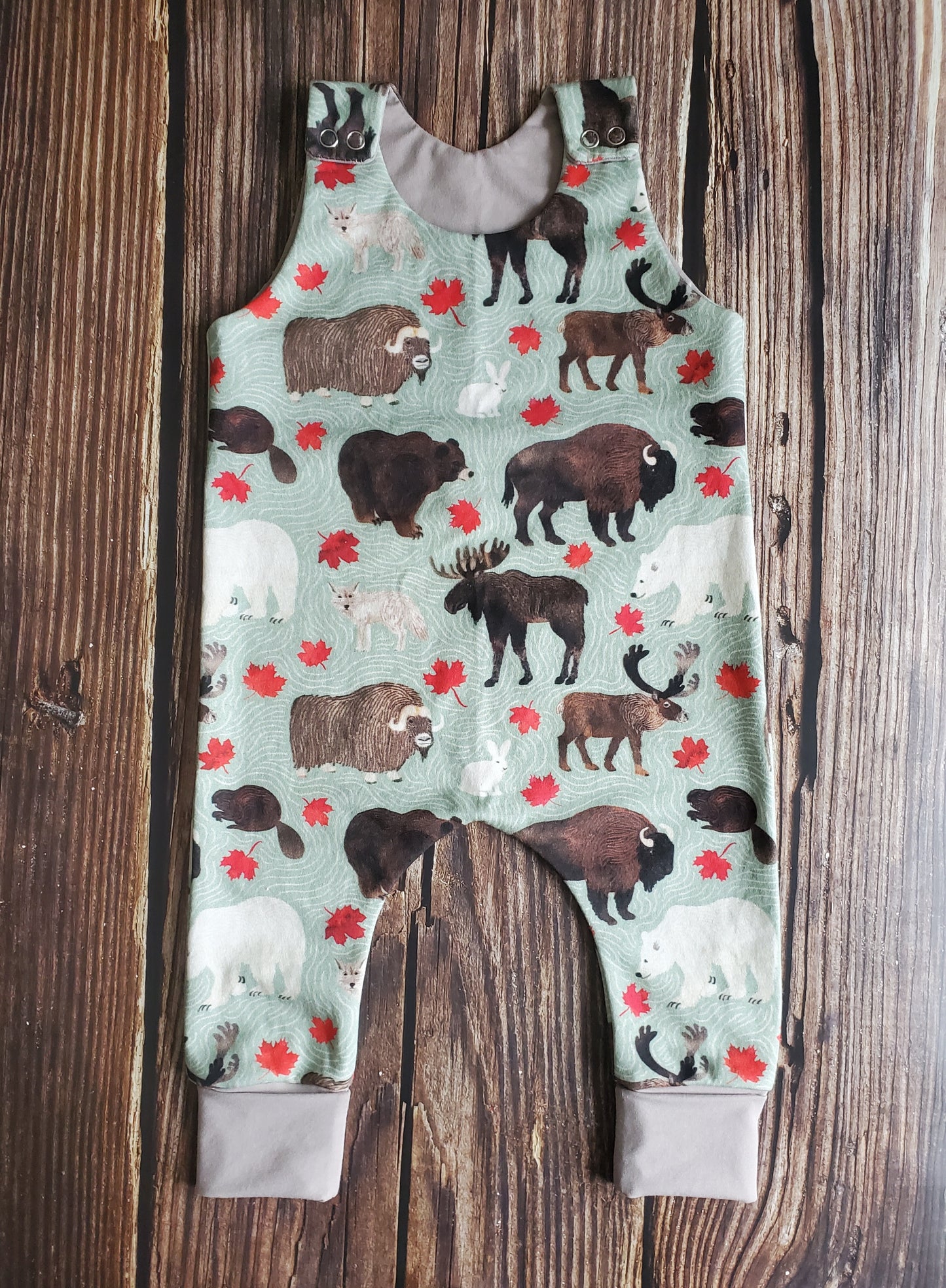Friends of the North Romper