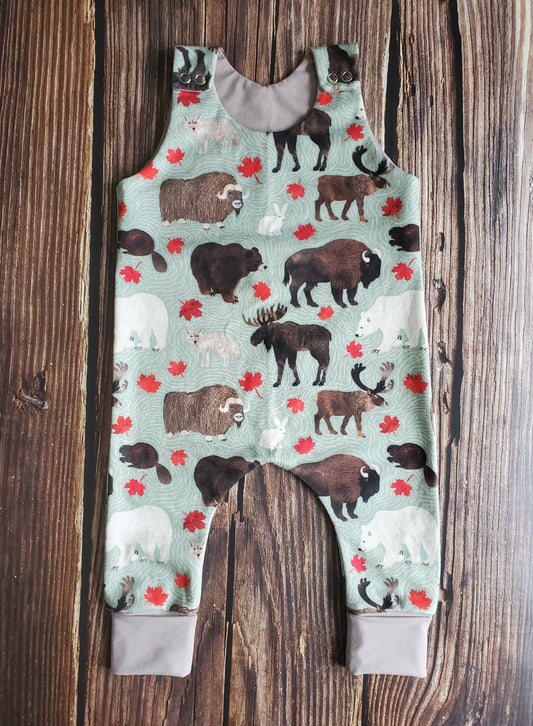 Friends of the North Romper