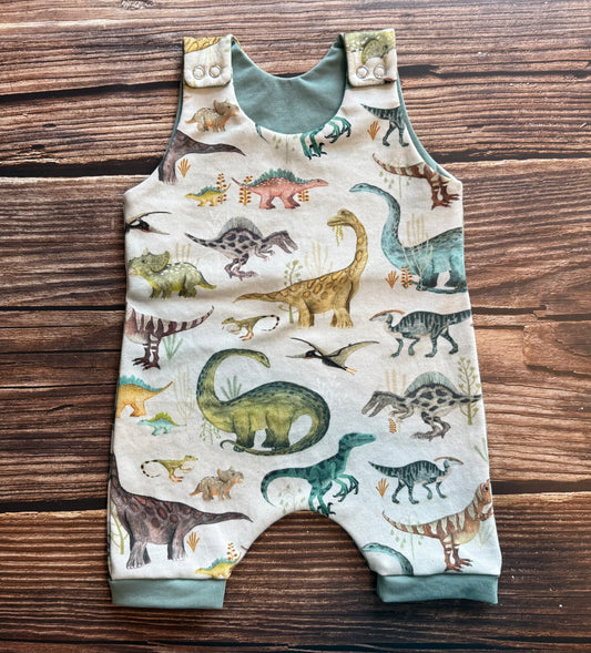 *New* Dinosaurs Shortie Romper