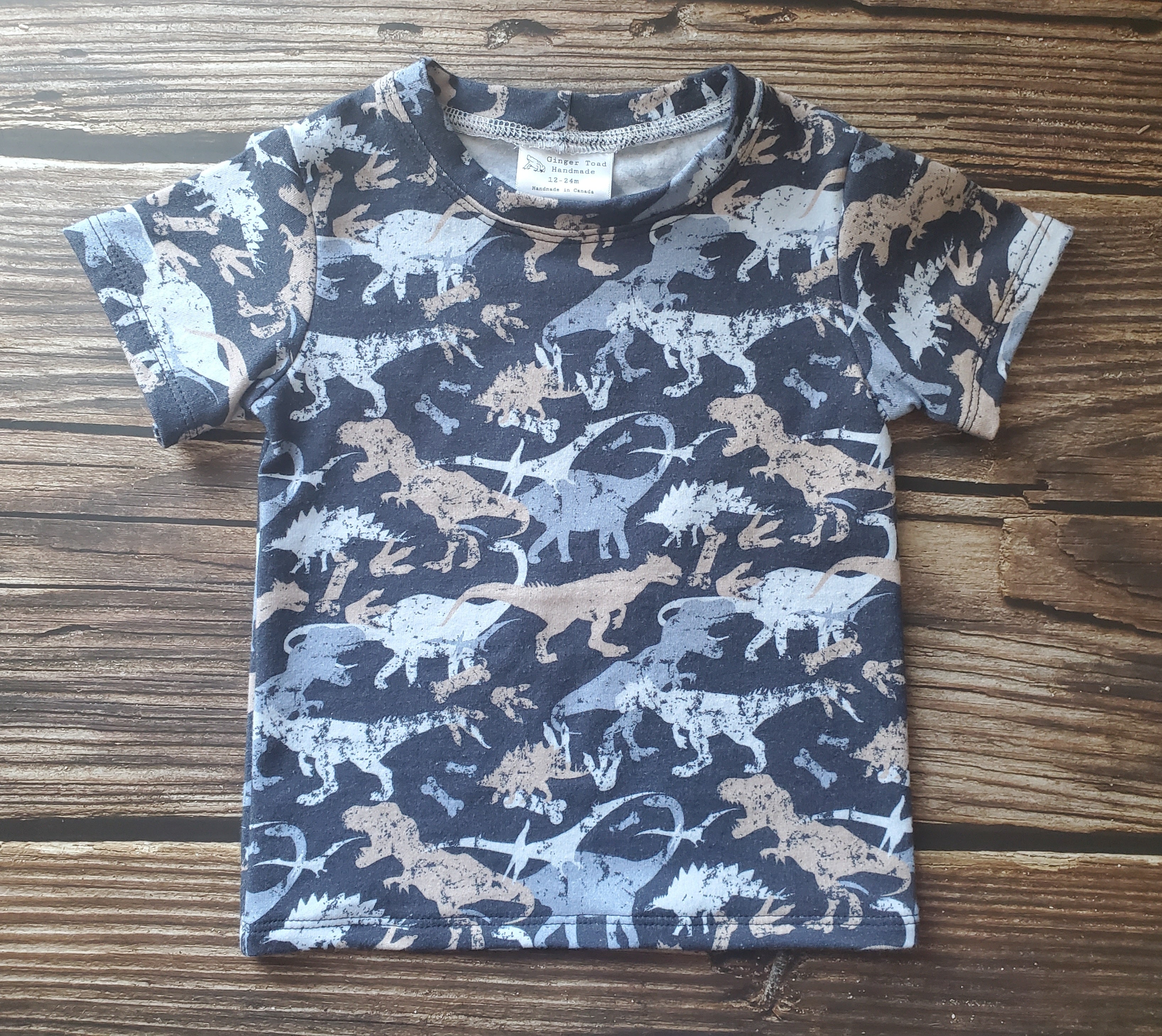 Dino Tshirts